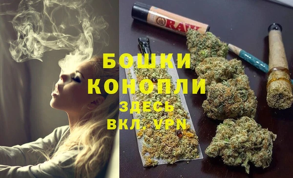 шишки Краснослободск