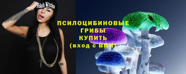 шишки Краснослободск