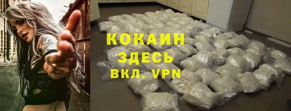 шишки Краснослободск