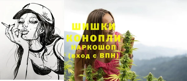 шишки Краснослободск
